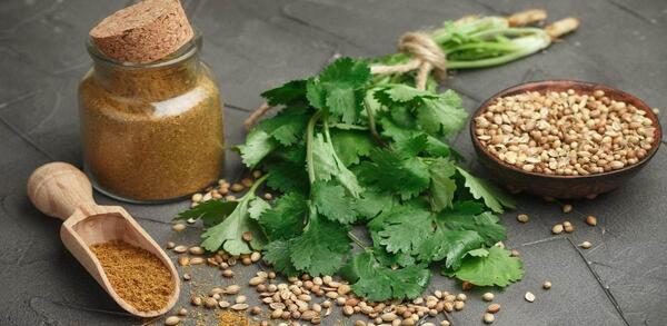 عکس گشنیز
