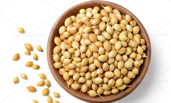 عکس گشنیز