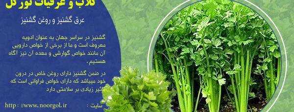 عکس گشنیز