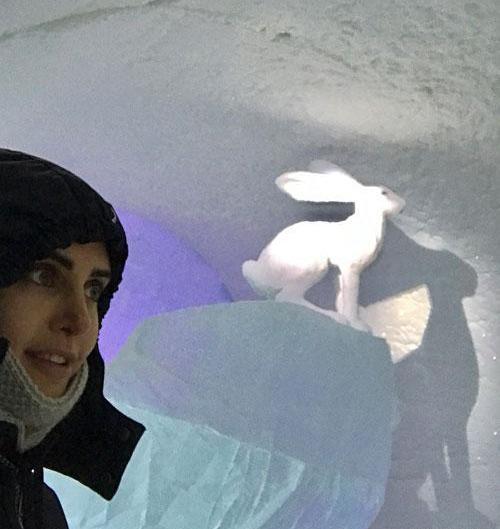عکس الناز صالحی