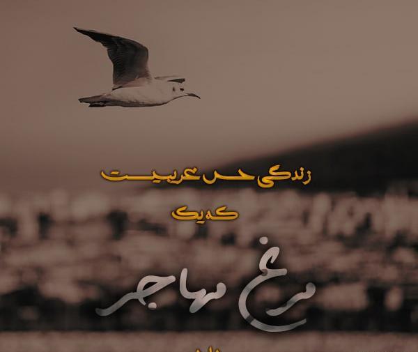 عکس نوشته باید ارام رفت