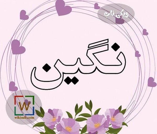 عکس نگین شکرگزار