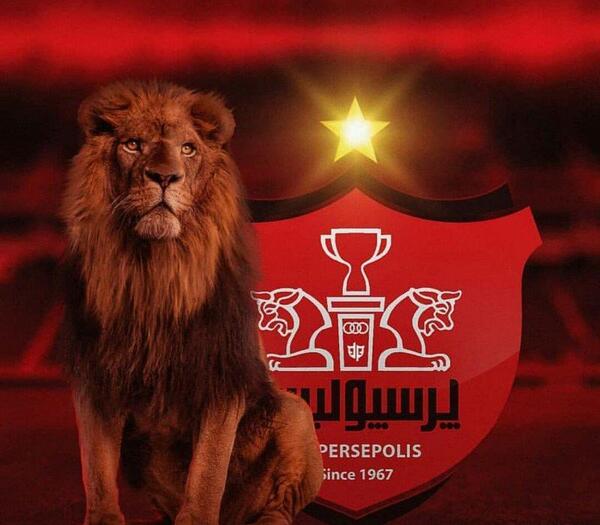 عکس شیر بغل پرسپولیس