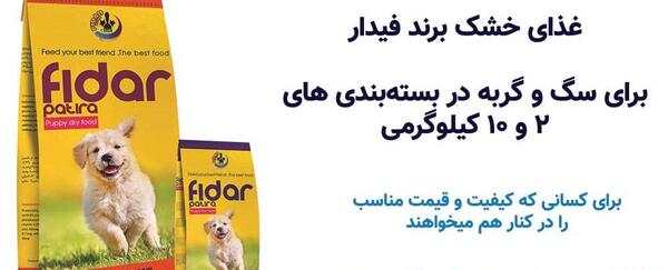 عکس گربه غذا