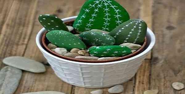 عکس کاکتوس رنگی