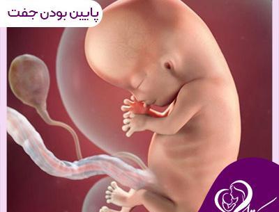 عکس بارداری چیست