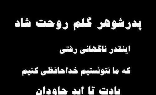 عکس روز ارتش برای پدر