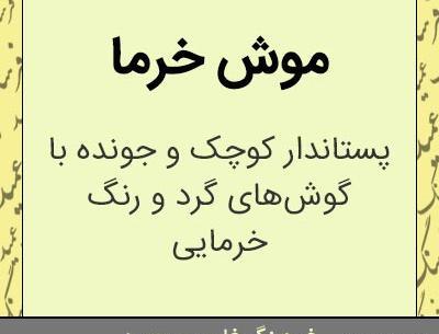 عکس موش تو فال قهوه