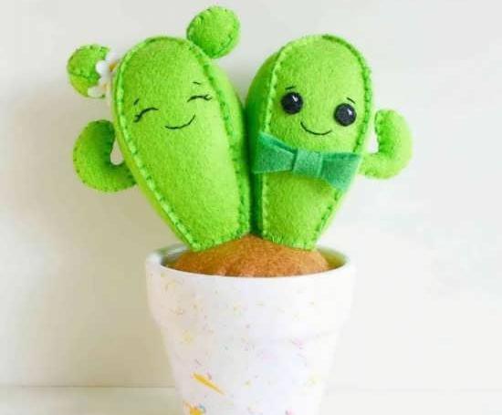 عکس کاکتوس عروسک