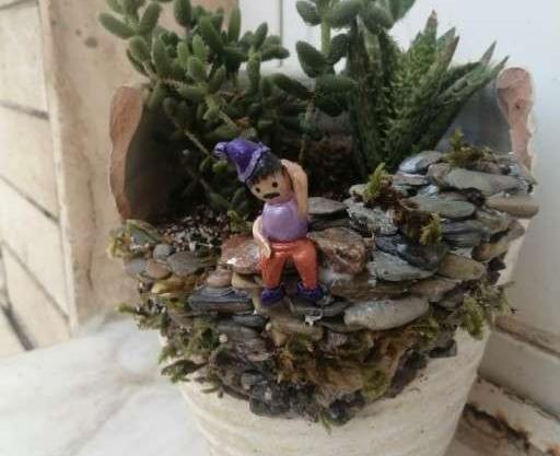 عکس کاکتوس عروسک