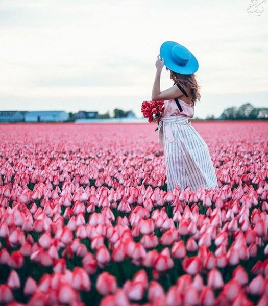 عکس پروفایل گل لاکچری اینستا