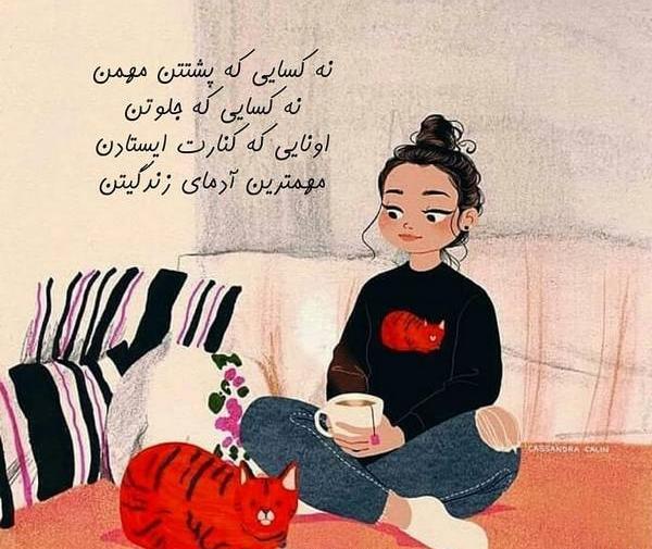 عکس گربه غمگین بدون متن