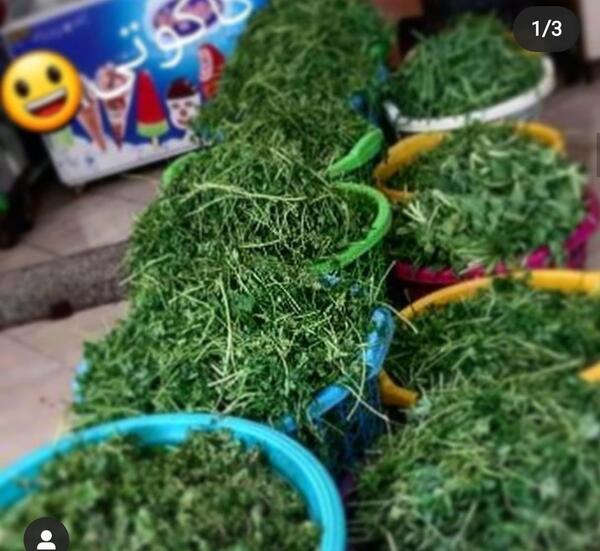 عکس سبزیجات