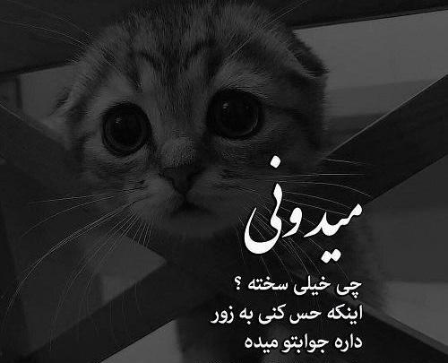 عکس برای پروفایل دخترونه سیاه و سفید