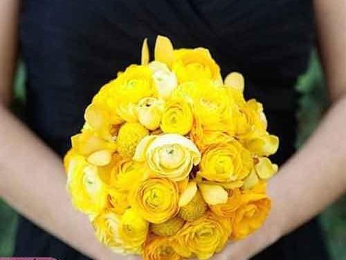 عکس عروس گل به دست