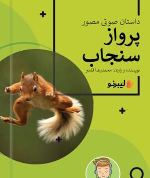 عکس آقای قلمبر رادیو صبا