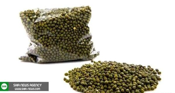 عکس سبز شدن ماش