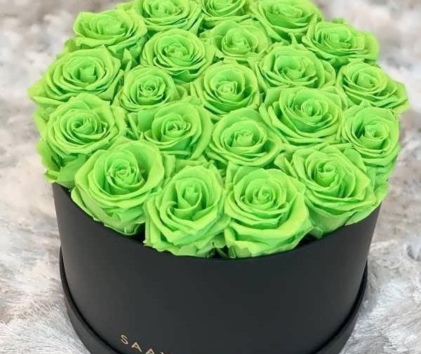 عکس سفید دور گل