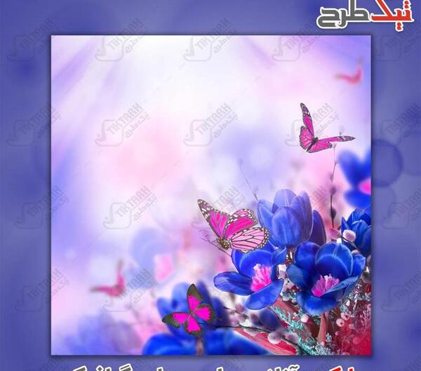 عکس آبی پروانه