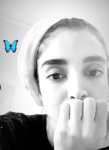 عکس آبی پروانه