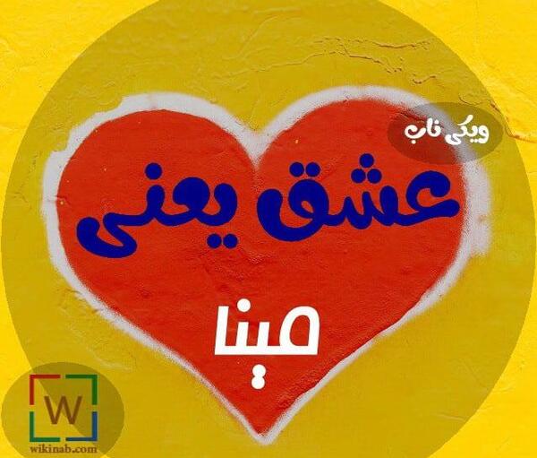 عکس مینا جان