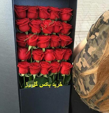 عکس گل رز انگلیسی