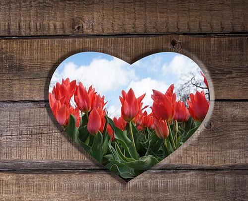 عکس برای پروفایل واتساپ با حجاب