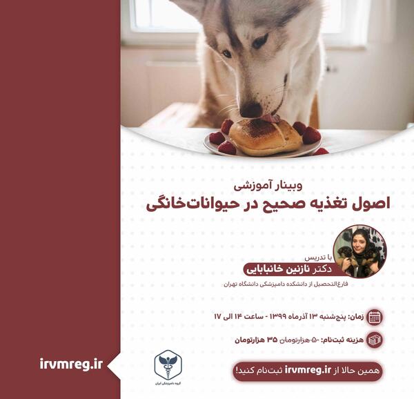 عکس غذا برای پروفایل گروه