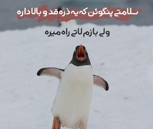 عکس پروفایل تنهایی لاتی تره دخترانه