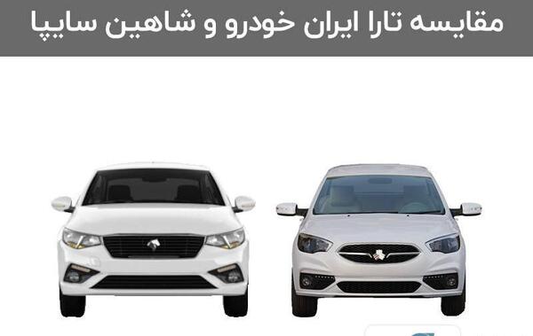 عکس داخل شاهین