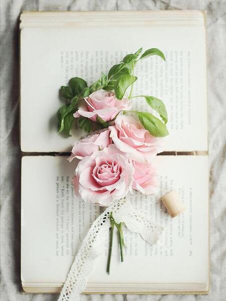 عکس برای پروفایل کتاب