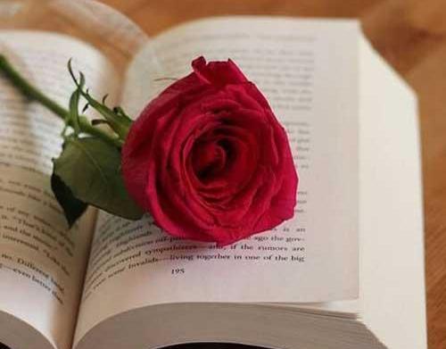 عکس برای پروفایل کتاب