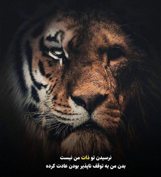 عکس پروفایل لاتی عقاب