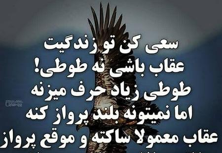 عکس پروفایل لاتی عقاب