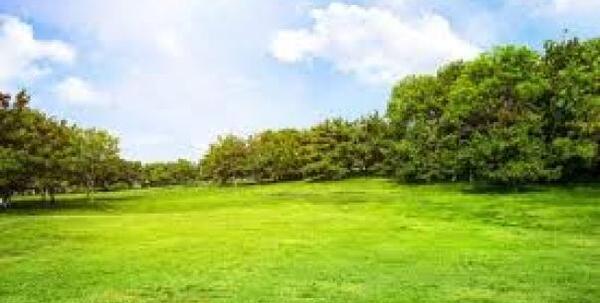 عکس بیرون رفتن در روز طبیعت