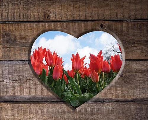 عکس قلب لاکچری برای پروفایل