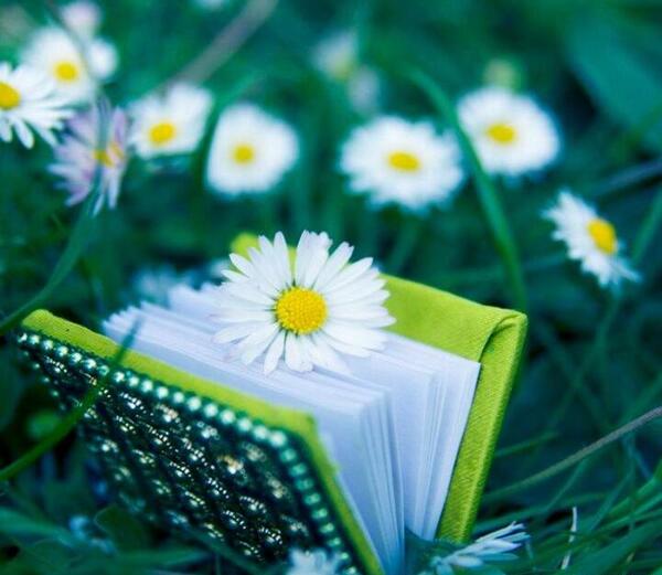 عکس برای پروفایل واتساپ عشقم