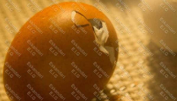 عکس جنین روزه
