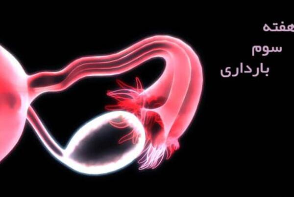 عکس جنین روزه