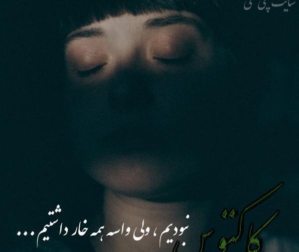 عکس کاکتوس نقاشی