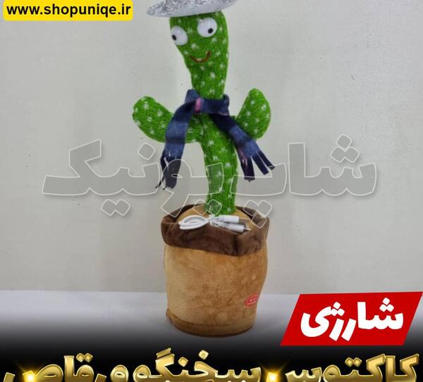 عکس کاکتوس نقاشی