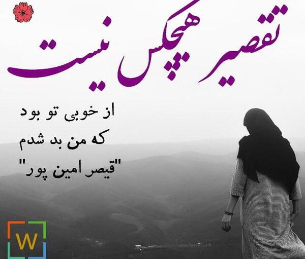 عکس امین زمانی فرد