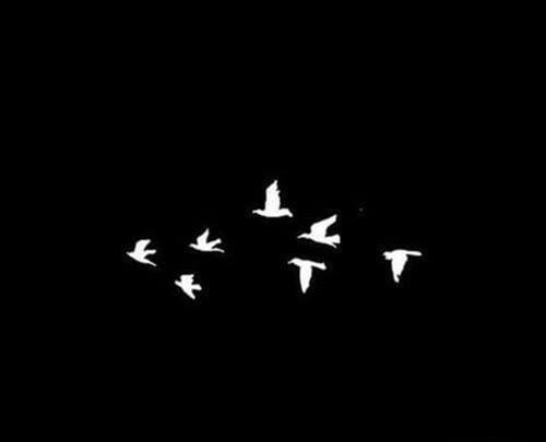 عکس سیاه نوشته عاشقانه