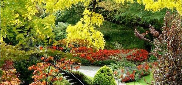 عکس زیباترین گلهای دنیا