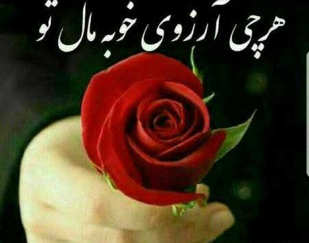 عکس زیباترین گلهای دنیا