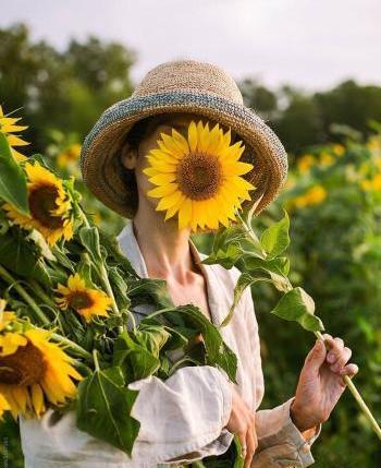 یه عکس برای پروفایل واتساپ