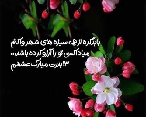 عکس 13 بدر