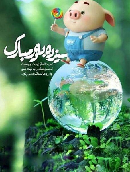 عکس 13 بدر