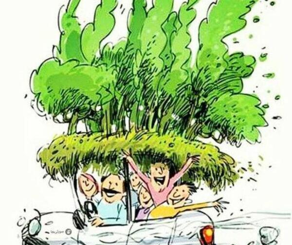 عکس 13 بدر