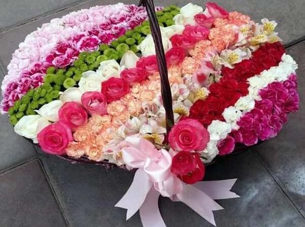 عکس گل رز شب تاب